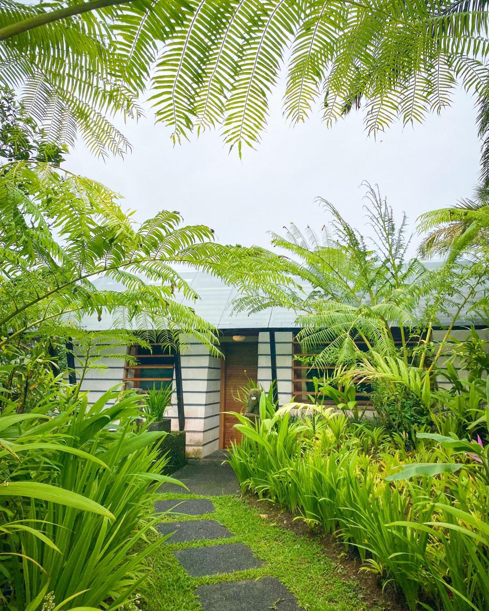 The Ikat Villa *